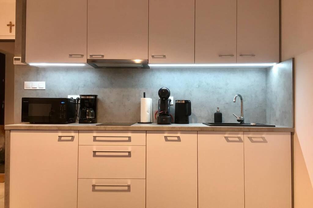 Apartament Fibra Brownie リブニク エクステリア 写真